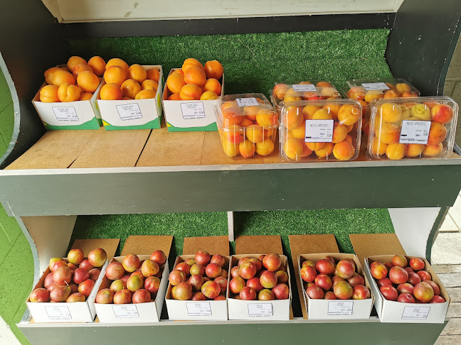 3690 Fruitlands-Roxburgh Road, Roxburgh 9571, New Zealand