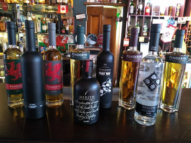 Comentarii opinii despre The Welsh Dragon Bar