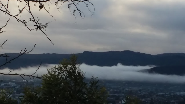 Alicetown Espresso - Lower Hutt