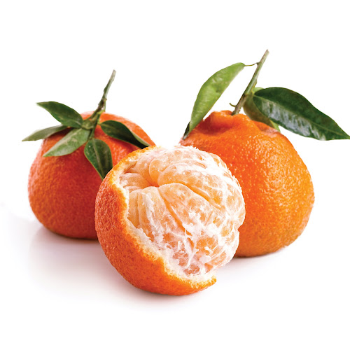 Fruit Direct - Hospitality and gastronomy