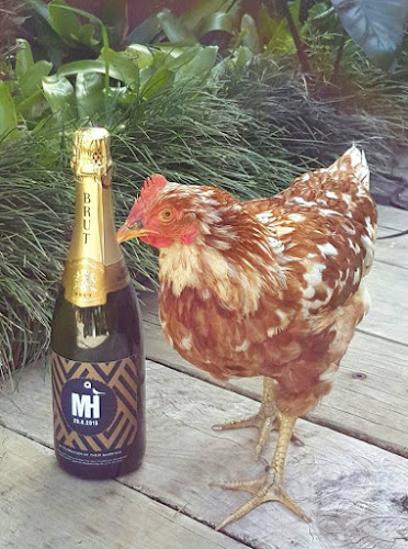 Wine Time - Riverhead