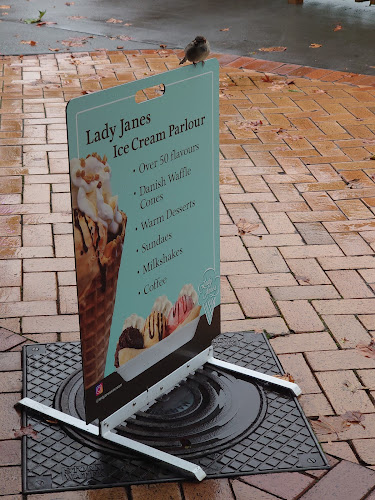 Lady Janes Ice Cream Parlour Phone number
