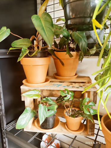 Manna Coffee Bread & Store Open Times