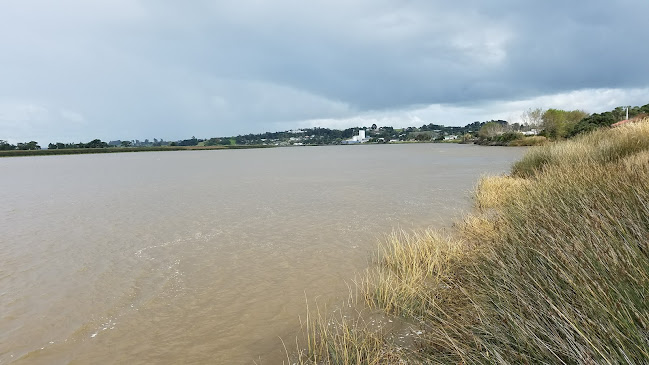 Shiraz Indian and European family Restaurant Phone number