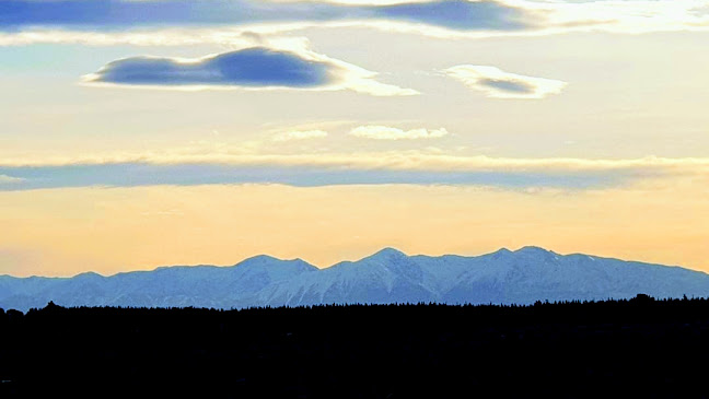 Reviews of Freedom Coffee NZ in Christchurch - Hospitality and gastronomy