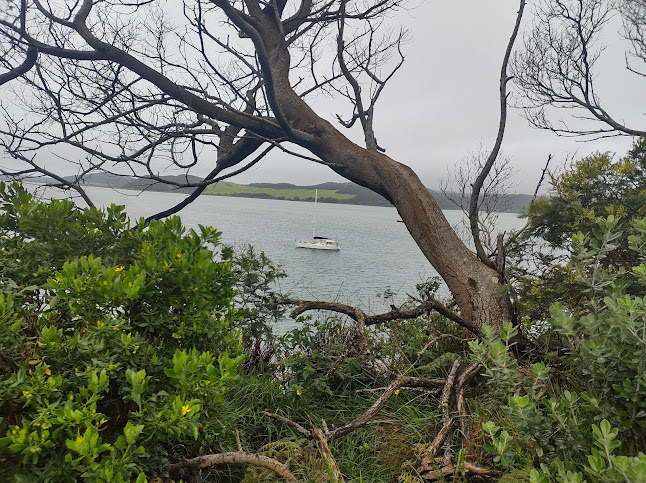 Comentarii opinii despre The Hitman