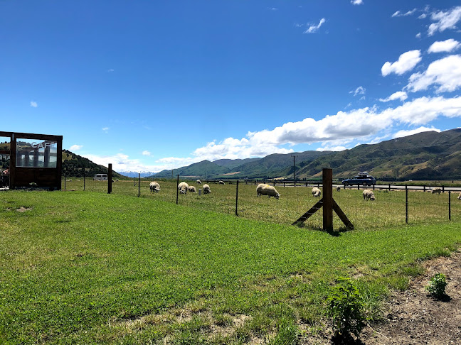 Country Taste Cafe - Hospitality and gastronomy