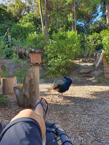 Archway Café - Hospitality and gastronomy