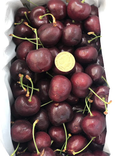 Sandy Acres - Hospitality and gastronomy