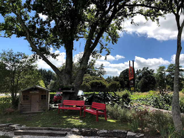 Comentarii opinii despre Native Tree Cafe