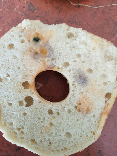 Robbies Cafe & Milk Bar - Hospitality and gastronomy