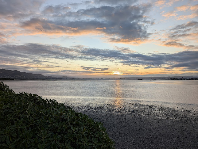 The Honest Lawyer Country Pub, Hotel & Venue Hire - Nelson