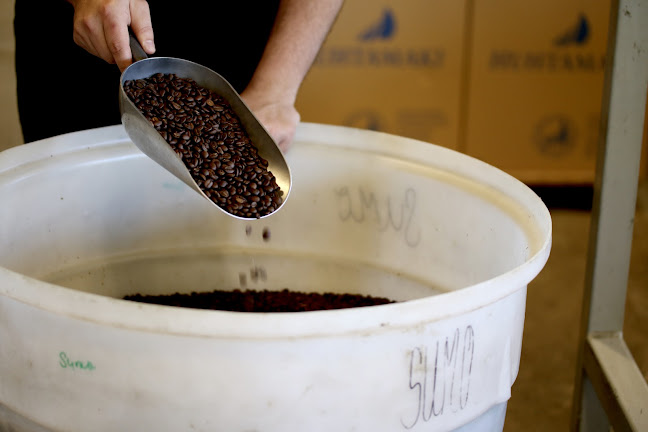 The New Zealand Coffee Co.