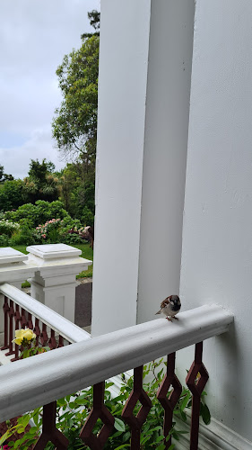 Melrose House Cafe - Hospitality and gastronomy