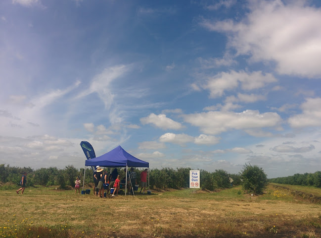 397 Jary Road, Ōhaupō 3791, New Zealand