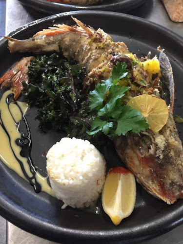 Plato - Hospitality and gastronomy