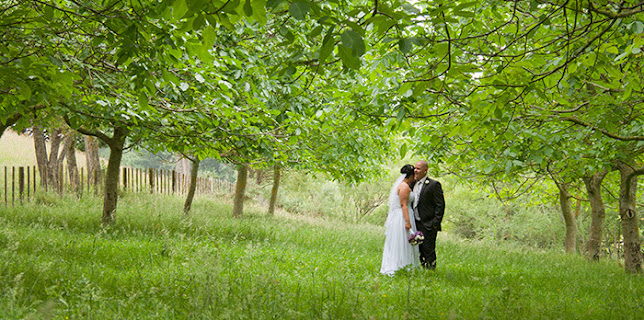 Opinii despre Murrayfield Cafe în Levin - Hospitality and gastronomy