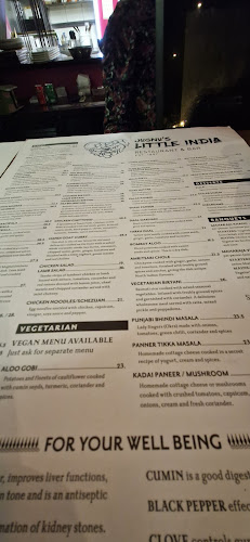 Comentarii opinii despre Jugnu's Little India