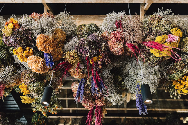 Amano - Hospitality and gastronomy