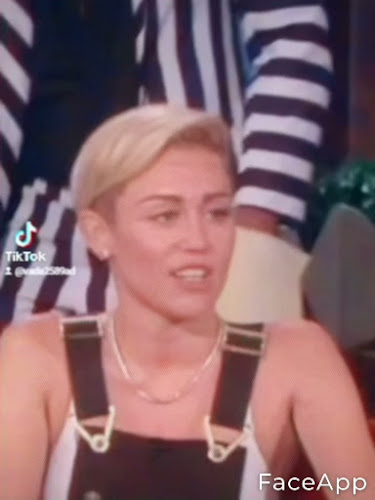 Opinii despre nevada taikato în Hamilton - Hospitality and gastronomy