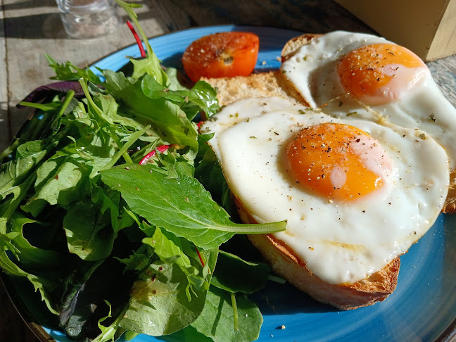 Hunua Falls Cafe and Bar Open Times