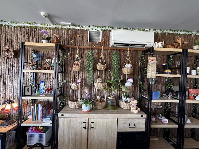 Comentarii opinii despre Mitten Drin