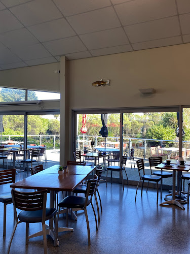 Salmon Tales Cafe Phone number