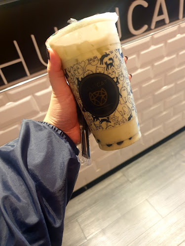 Hulu Cat Tea House - Auckland