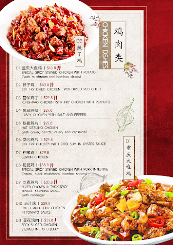 Comentarii opinii despre Sichuan Style Restaurant 重庆味道