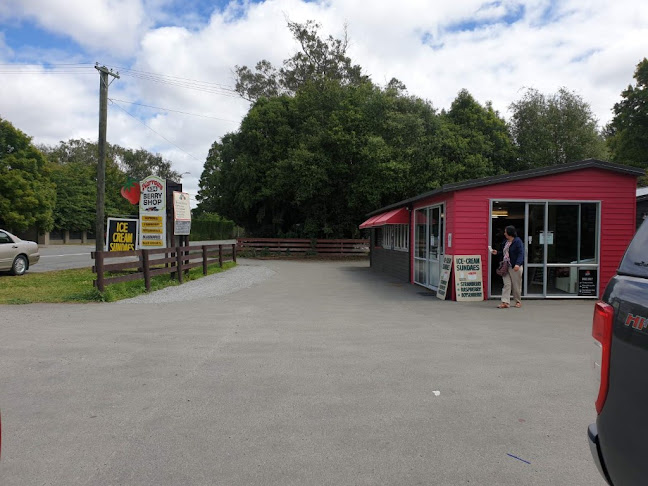 The Berry Shop & Cafe - Hospitality and gastronomy