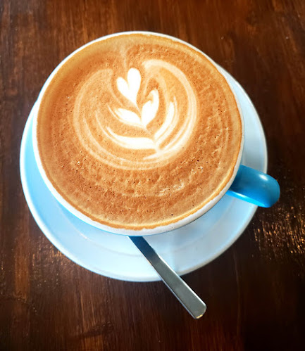 Comentarii opinii despre Urban Jungle Cafe