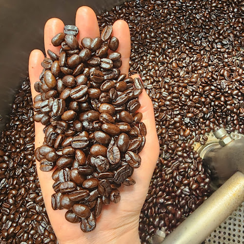 Phoebe Rose Coffee Roaster