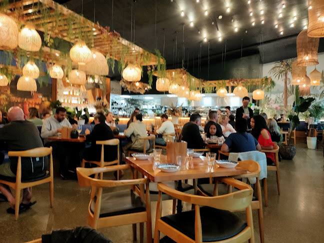 Tok Tok Hobsonville Open Times