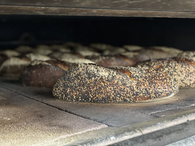 Comentarii opinii despre Shelly Bay Baker