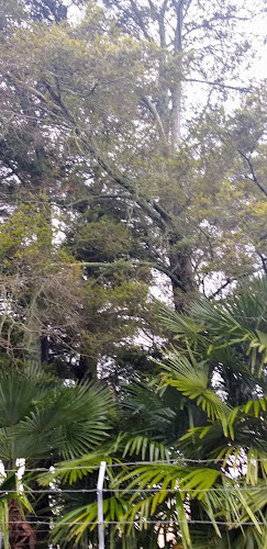 Comentarii opinii despre Liquorland Motueka