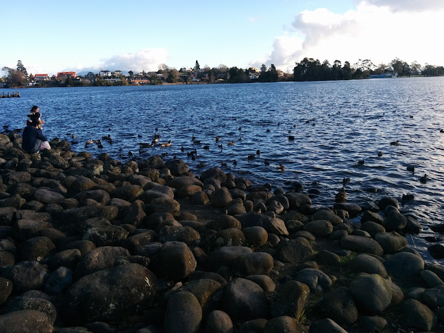 The Verandah Cafe & Function Centre - Hospitality and gastronomy