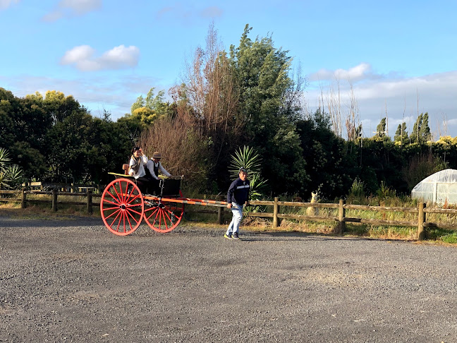 Comentarii opinii despre Otobahn Coffee