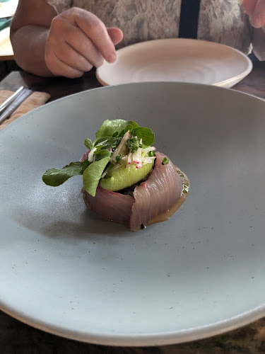 Comentarii opinii despre Ahi.