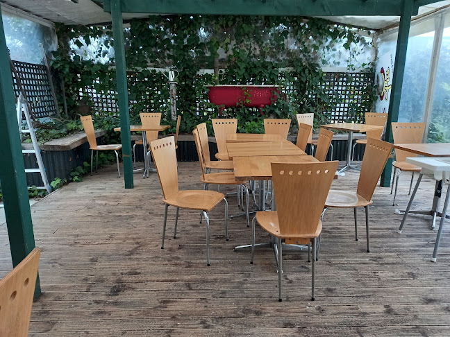 Comentarii opinii despre Cottage Cafe