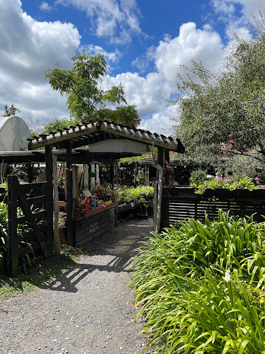 Opinii despre Red Shed Palazzo în Auckland - Hospitality and gastronomy