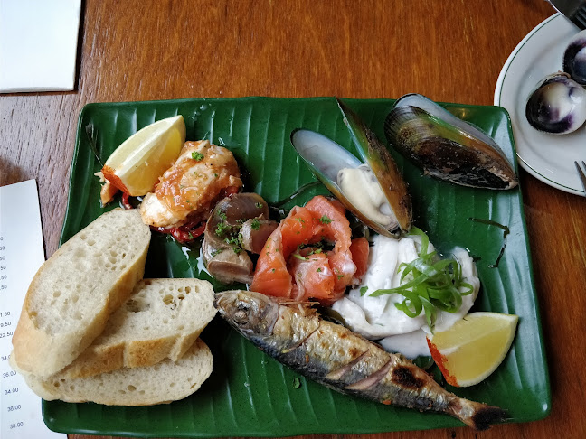 2 Birch Street, Central Dunedin, Dunedin 9016, New Zealand