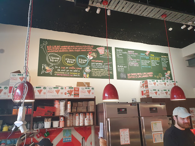 Rollickin Gelato Café (Cashel Street) - Hospitality and gastronomy