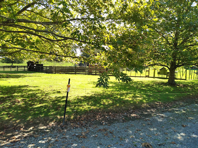 14 Potts Road, Levin 5571, New Zealand