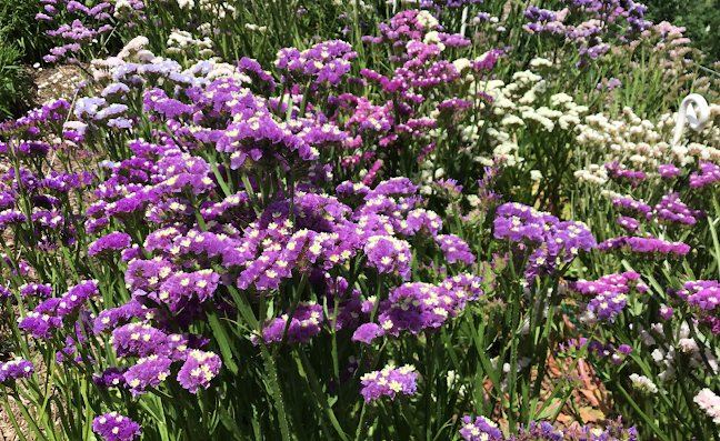 GreenBow Flora - Hospitality and gastronomy