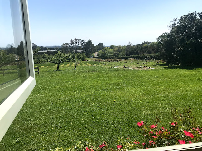 Blossoms Cafe - Riverhead