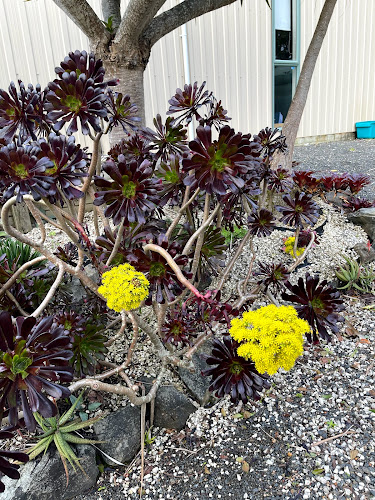 Comentarii opinii despre Drury Hills Wine Store