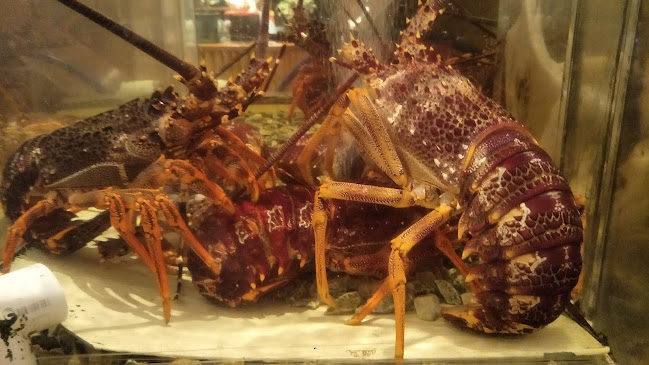 Hees Garden Seafood Restaurant - Hospitality and gastronomy