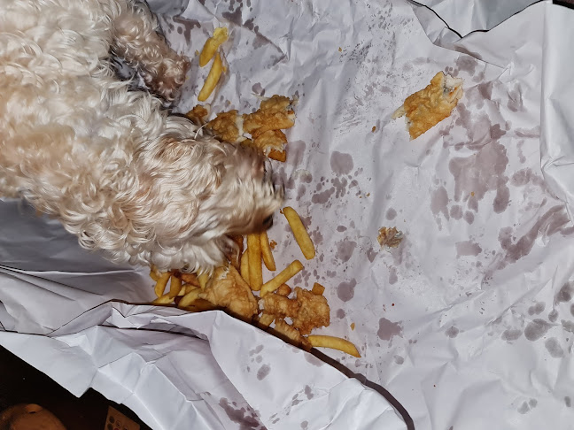 Giuseppes Fish & Chips & Burgers - Hospitality and gastronomy