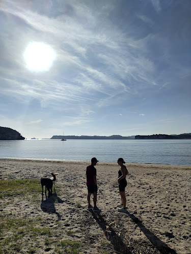 Comentarii opinii despre The Office