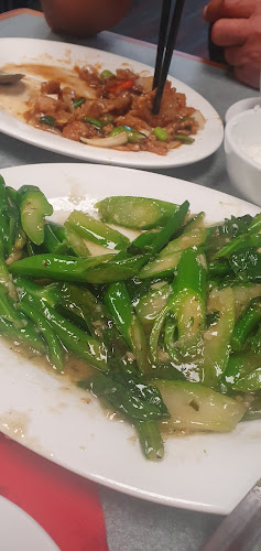 Delight Plus Chinese Restaurant - Hospitality and gastronomy